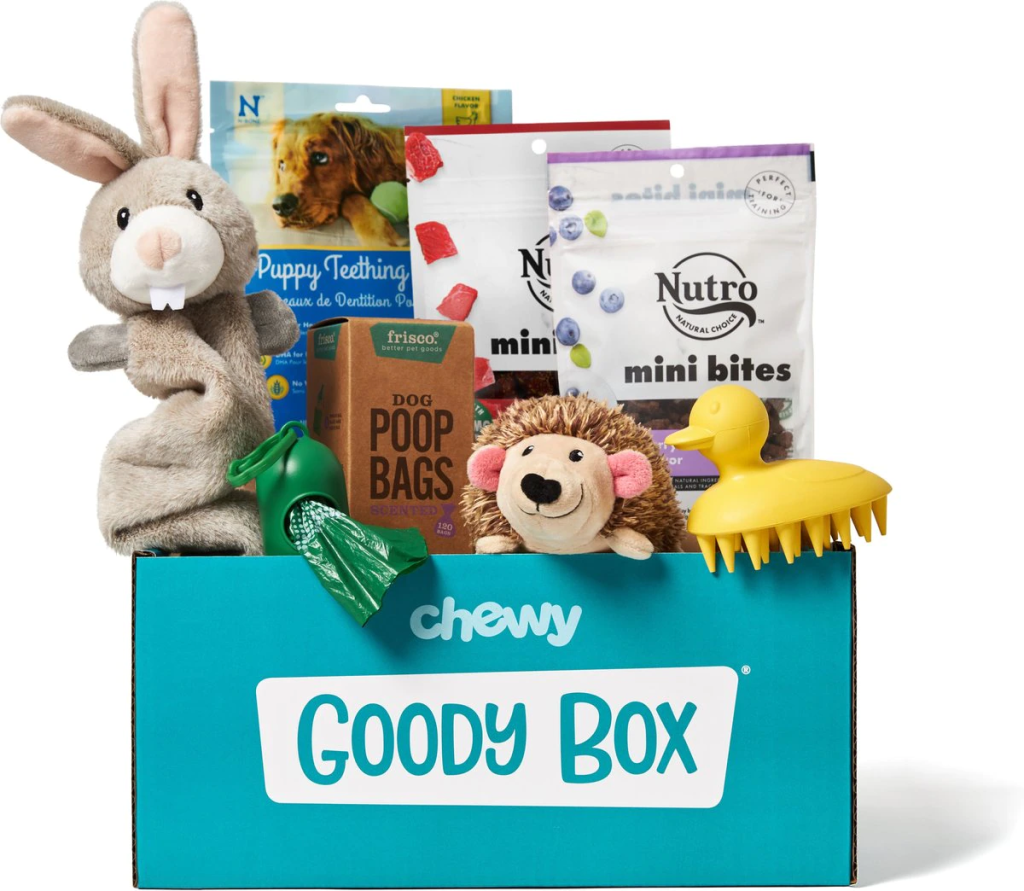 christmas gifts for your dog