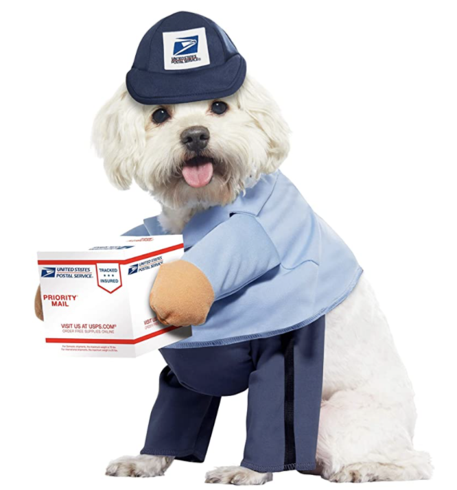 delivery driver dog costume