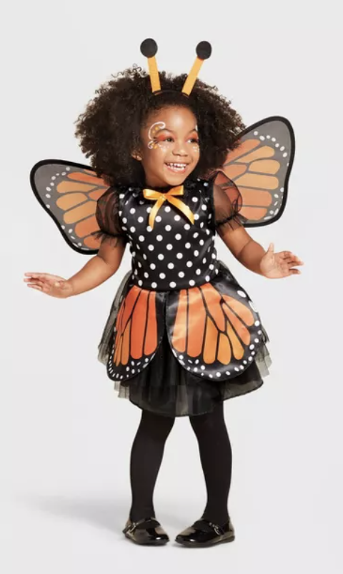 butterfly costume