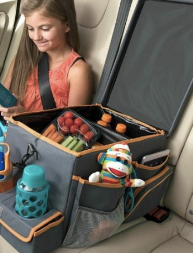 Must Have Ideas for Road Trips with Kids